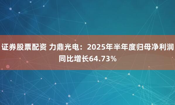 证券股票配资 力鼎光电：2025年半年度归母净利润同比增长64.73%