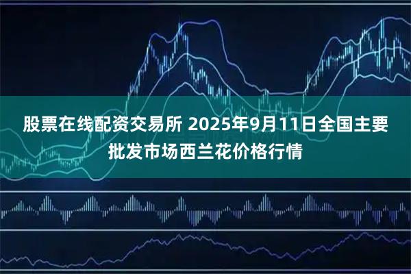股票在线配资交易所 2025年9月11日全国主要批发市场西兰花价格行情