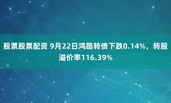 股票股票配资 9月22日鸿路转债下跌0.14%，转股溢价率116.39%