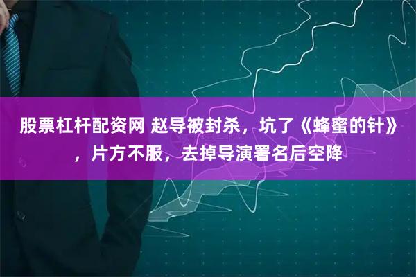 股票杠杆配资网 赵导被封杀，坑了《蜂蜜的针》，片方不服，去掉导演署名后空降