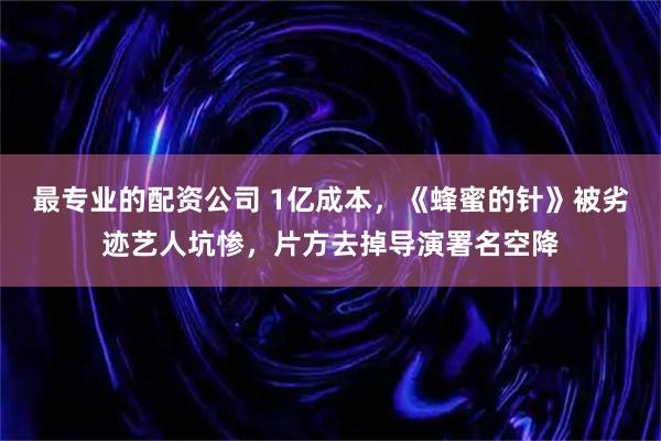 最专业的配资公司 1亿成本，《蜂蜜的针》被劣迹艺人坑惨，片方去掉导演署名空降
